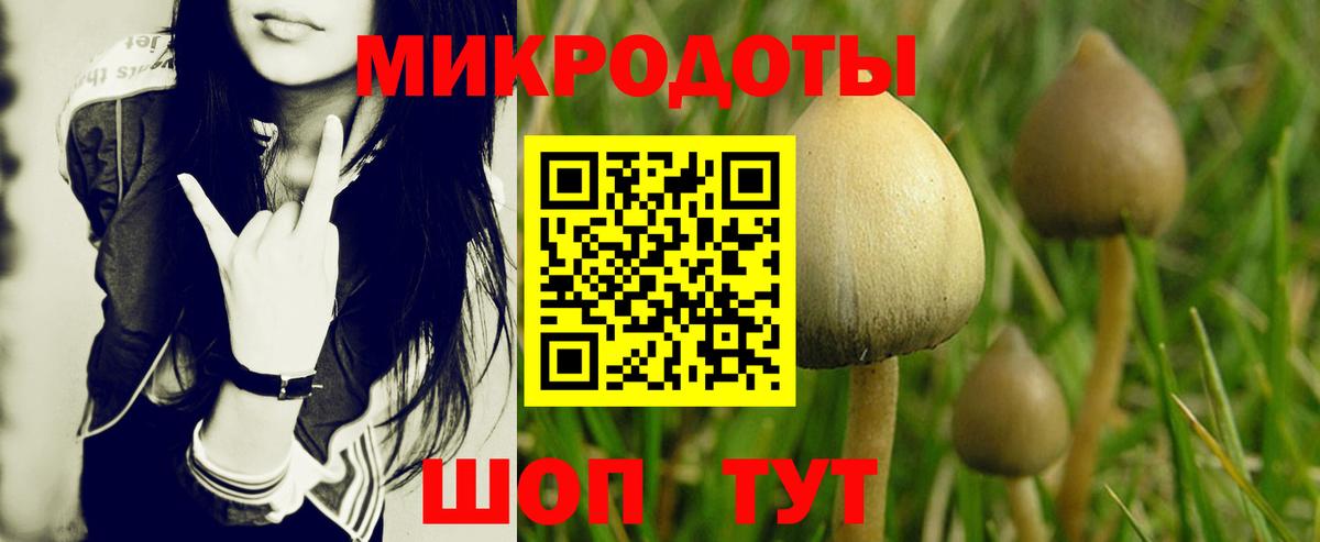 Галлюциногенные грибы Magic Shrooms Подольск